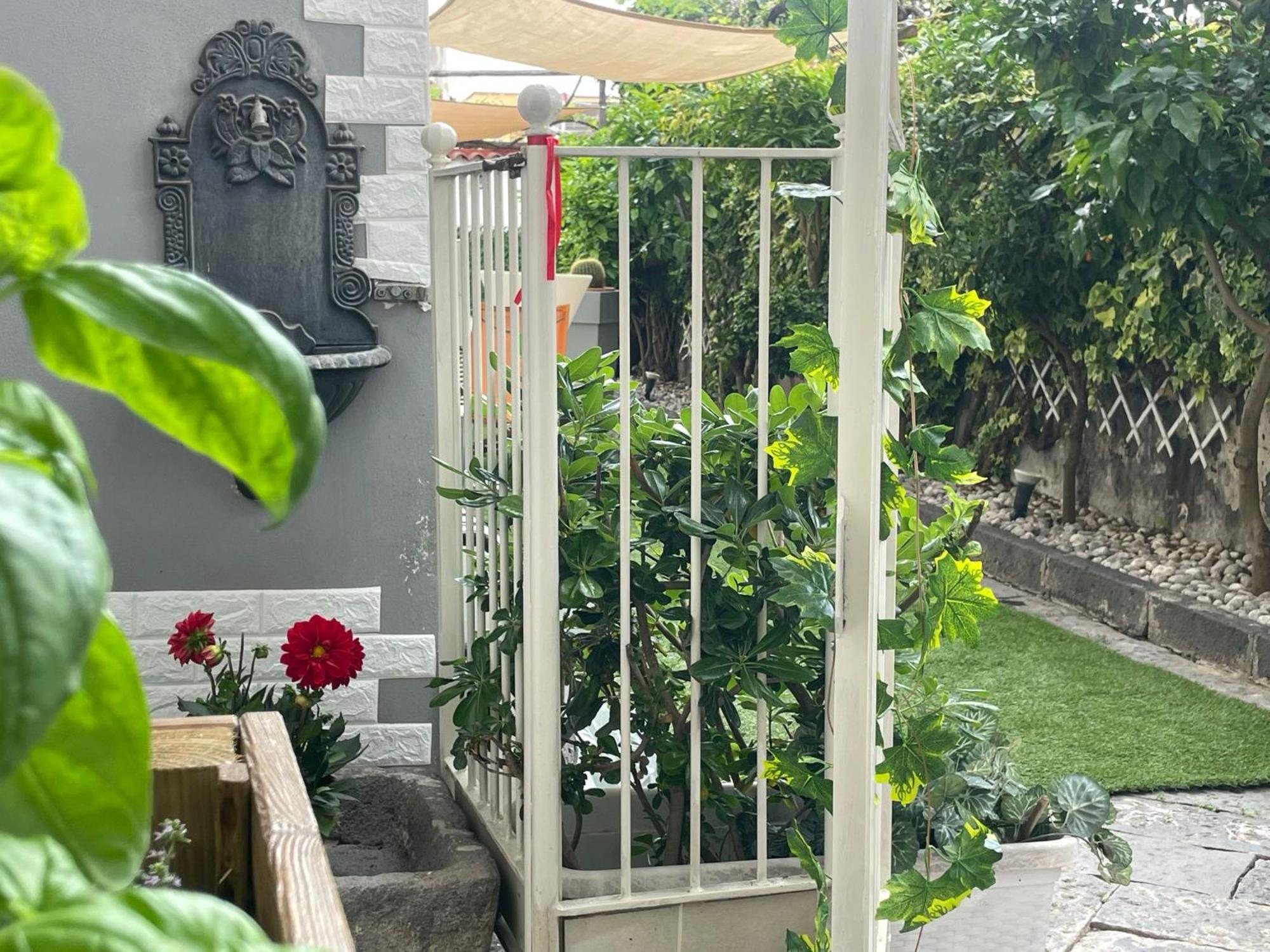 Sky And Green Luxury Apartament بوسكوريليه المظهر الخارجي الصورة